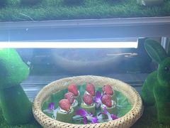 -昆明南亚风情园豪生大酒店-泰式国际海鲜自助餐厅