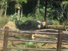 -海南热带野生动植物园