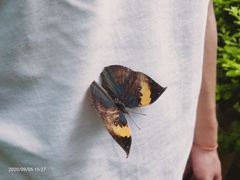 -蝴蝶泉公园