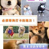 薅羊毛!西安养狗人必打卡的活动!不容错过!