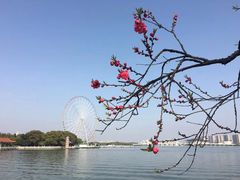 -无锡梅园公园