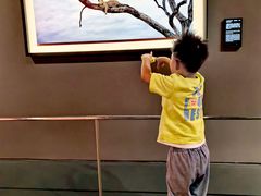 -罗红摄影艺术馆