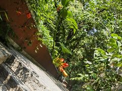 -天津盘山风景名胜区