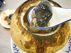 原只椰子炖竹丝鸡-達揚原味燉品(文明路店)