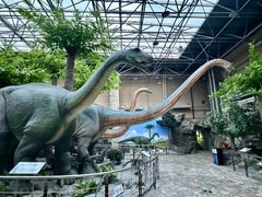 -国家自然博物馆