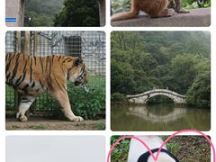 -黔灵山公园
