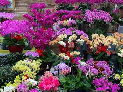 -秦美花卉(天朗·莱茵小城2期店)