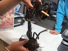-盒马鲜生(文景博乐里购物广场店)