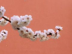 -大连熟食品交易中心