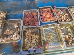 -海帮主·蒸汽海鲜青岛菜(栈桥火车站店)