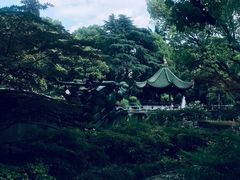 -申粤轩酒楼·三十年粤菜经典(丁香花园店)