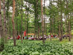 -黑龙江省森林植物园