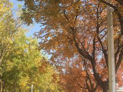 -中关村生命科学园