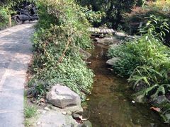 iphone_upload_pic-成都市活水公园