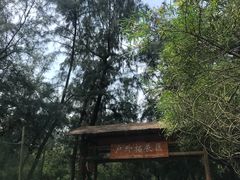 -北海金海湾红树林生态旅游区