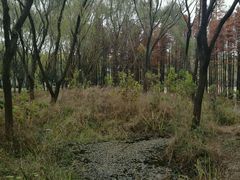 -昆山城市生态森林公园