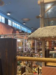 -卡通尼·Safari非洲探索乐园·生日会(金桥国际商业广场店)