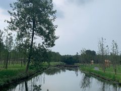 -溱湖国家湿地公园