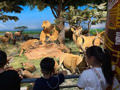 -国家自然博物馆