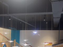-呷湘厨·鱼汤捞饭·剁椒鱼头·辣椒炒肉(国家会展中心店)
