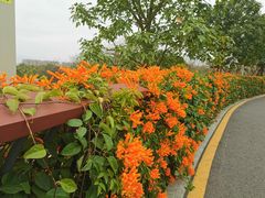 -飞凤山奥体公园