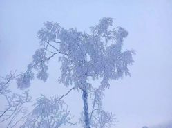 -大秃顶子山