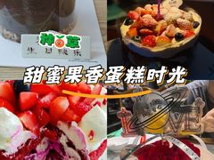 -维尔纳斯·生日蛋糕动物奶油冰淇淋蛋糕(人大店)