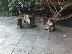 -南湾猴岛+椰田古寨一日游