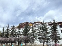 -宗角禄康公园
