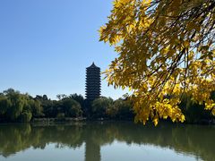 -北京大学-燕南食堂