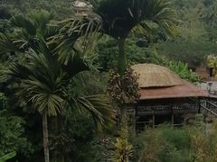 -海南槟榔谷黎苗文化旅游区