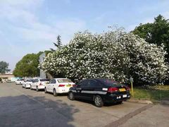 -胜华驾校·小猫学车(银都店)