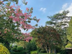 -台山颐和温泉城