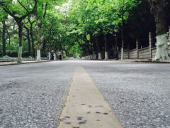 八大关景区-八大关景区