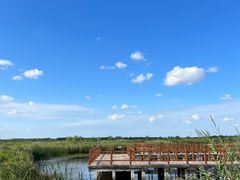 -宁波杭州湾国家湿地公园