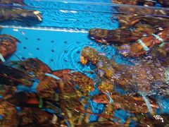 -箸福·夜上海(月牙湖公园店)