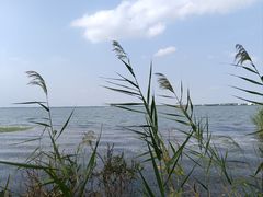 -阳澄湖半岛旅游度假区