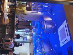 门面-老板恋上鱼(恒隆广场店)