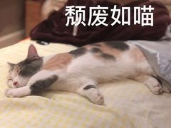 -茂菊口腔连锁(浦东南路店)