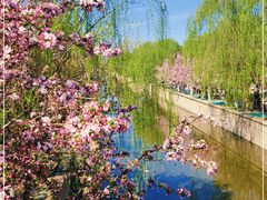 -海棠花溪(元大都城垣遗址公园)