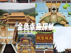 -东莞市大岭山森林公园