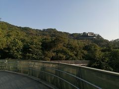 -福道