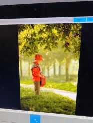 点击看大图 -苹果树儿童摄影工作室