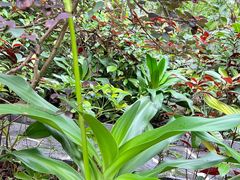 -广州锦绣香江度假别墅