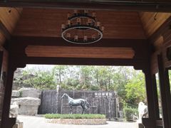 -静之湖度假区