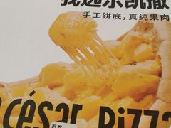-乐凯撒披萨(蛇口花园城店)