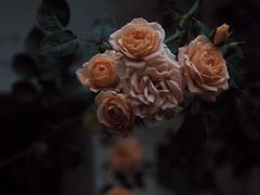 -万达广场(南京江宁店)