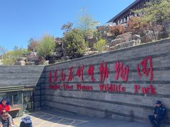 -青藏高原野生动物园