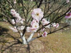 -江南大学(蠡湖校区)