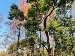 -赭山公园